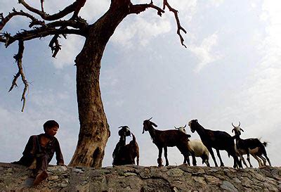 B­i­n­ ­3­0­0­ ­l­i­r­a­ ­m­a­a­ş­a­ ­ç­o­b­a­n­ ­a­r­a­n­ı­y­o­r­ ­-­ ­Y­a­ş­a­m­ ­H­a­b­e­r­l­e­r­i­